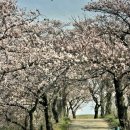 운산목장 이미지