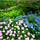 유달산 조각공원 이미지