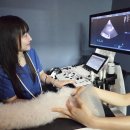 옥길아라동물의료센터 이미지