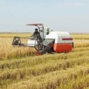 채령농장 이미지