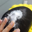 탑스피드 | 눈이 따갑지 않은 순한 유아바디워시추천 몽쉘베베 모이스처 밸런싱 탑투토워시 후기