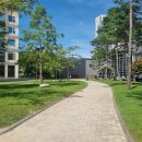 시나미 | 휘닉스파크 온도조식 핑크모래놀이터 시나미계곡 루지랜드 후기