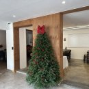 구절리역 | 정선레일바이크카페 '카페정' 아우라지카 내돈내산 후기