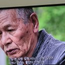 발효부부