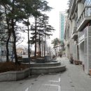 둔산중로-1 이미지