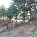 죽엽산농장 이미지