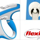 자동산책길 이미지