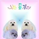 우신광고산업 | 안산 강사사관학교, 취업과정개설(SBS아카데미컴퓨터아트학원 취업연계 커리큘럼 개설)