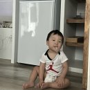 134 | <제주도> 숙소 캄134 방문 후기(애완동반 가능) 표선면 숙소 아늑한 숙소 가족숙소 유아가능숙소