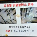 송파탈모 고민할 때 탑스칼프에서 관리 받아본 후기!