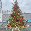 멍멍왈왈 이미지