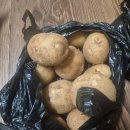 남창시장 | 울산남창오일장 옹기종기시장 방문 후기