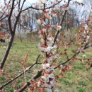 논골농장 이미지