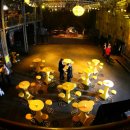 카셀하우스 이미지