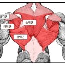 황인성 PT STUDIO 이미지