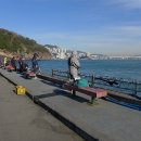 암남공원 이미지