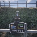 카투맨 이미지
