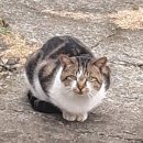 우리들의자리 이미지