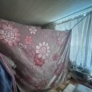 새얀안과의원 이미지