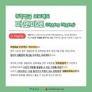 파도파도 이미지