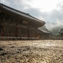 <흙 속의 숨결> 이미지