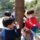 삼보초등학교 이미지