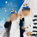 루소의숲유치원 이미지