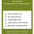 아오마켓 | [아오마켓] 대저토마토 단짠토마토 추천🍅 내돈내산 솔직후기