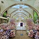 헤어 제이가든(HAIR j garden) | 클라라웨딩 촬영드레스 셀렉 및 이미지투어 후기🩵