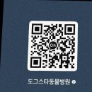 도그스타동물병원 | 과잉진료없고 반려동물을 위한 도그스타 동물병원