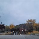 백송다방 이미지