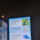 도그마루 강아지 고양이 부산점 이미지