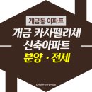 펠리체플러스 이미지
