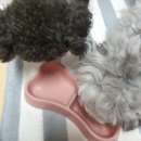 펫츠베이 양산증산점 이미지