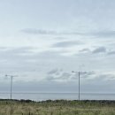 내도초 | 제주가볼만한곳 / 제주도 LP바(같은 리스닝바) 내도음악상가 N번째 방문 논알콜 분위기 가격