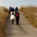 생각의 오름 이미지