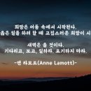 [희망 명언] 희망 (앤 라모트) 이미지