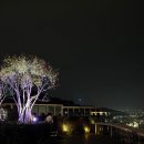 (주)클럽스카이 | [서울] 비스타 워커힐 호텔 아기랑 호캉스 추천 | 수영장 피자힐 포레스트파크 스카이야드