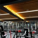 투엑스휘트니스 이미지