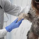 인방동물의료센터 이미지