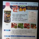 논산농약마트