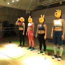 필라스트 이미지