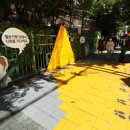 옐로카펫 이미지