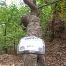 삼박골산 정상 이미지