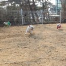 흐노니 이미지