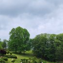 현스크린골프클럽 이미지