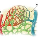 아침나라한의원 이미지