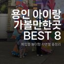 동천농장 | 용인 아이랑 가볼만한곳 BEST 8 (체험형·놀이형·자연형 + 실내 실외 총정리)