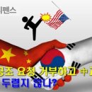 보성공조 이미지