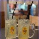 애견포차 이미지